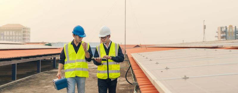 Inspection and Consulting Services